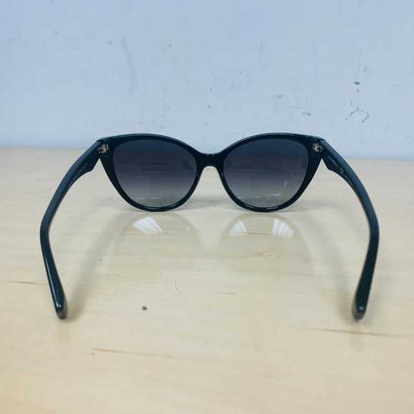 Emporio Armani Black Ea 4162 Sunglasses